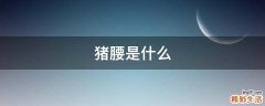 猪腰是什么