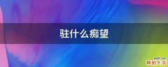 驻什么痴望