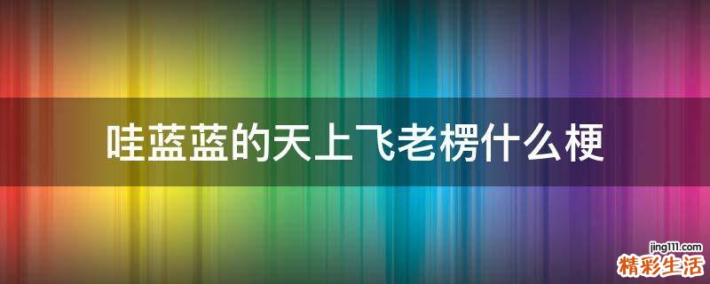 哇蓝蓝的天上飞老楞什么梗