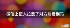 微信上把人拉黑了对方能看到吗