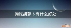 狗吃胡萝卜有什么好处