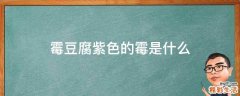 霉豆腐紫色的霉是什么
