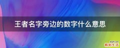 王者名字旁边的数字什么意思