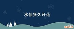 水仙多久开花