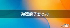 狗腿瘸了怎么办