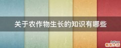 关于农作物生长的知识有哪些