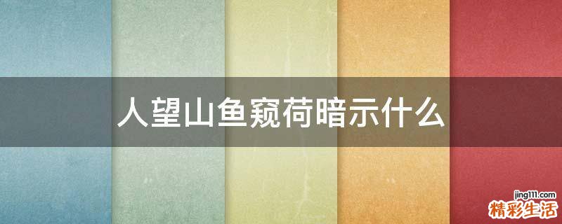 人望山鱼窥荷暗示什么