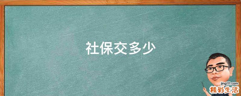 社保交多少