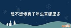 想不想修真千年虫草哪里多