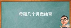 母猫几个月做绝育