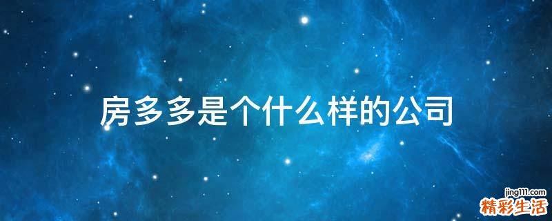 房多多是个什么样的公司