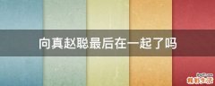 向真赵聪最后在一起了吗