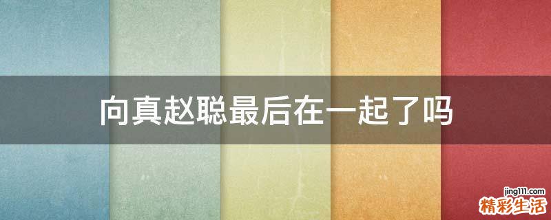 向真赵聪最后在一起了吗