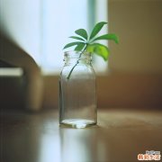 脱发等级，您了解自己的脱发情况么?