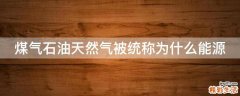 煤气石油天然气被统称为什么能源
