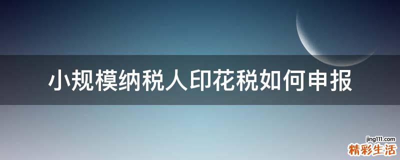 小规模纳税人印花税如何申报