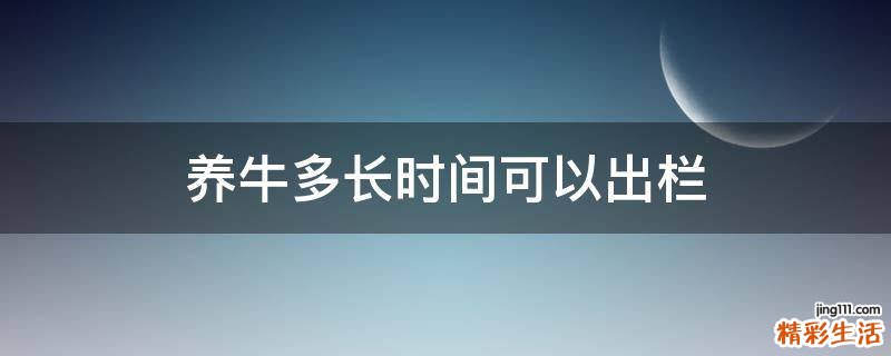 养牛多长时间可以出栏
