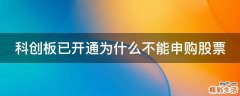 科创板已开通为什么不能申购股票
