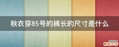 秋衣穿85号的裤长的尺寸是什么