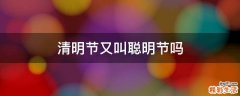 清明节又叫聪明节吗