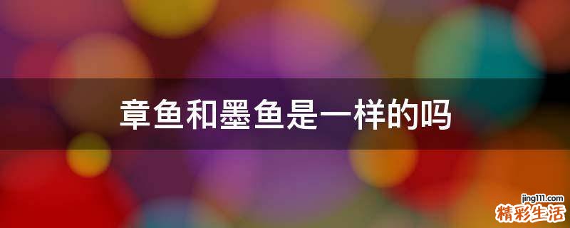 章鱼和墨鱼是一样的吗