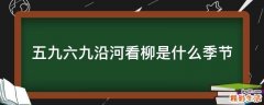 五九六九沿河看柳是什么季节