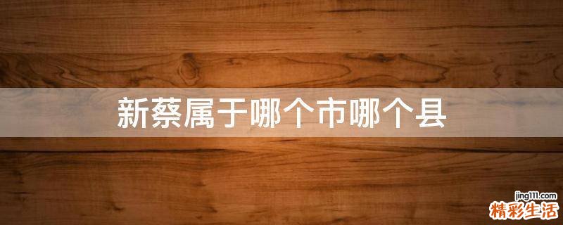 新蔡属于哪个市哪个县