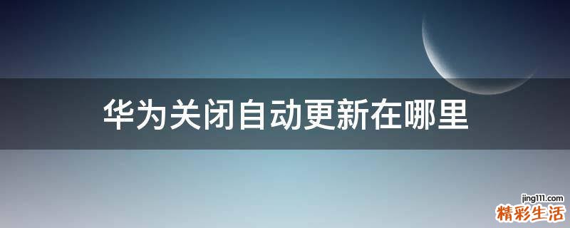 华为关闭自动更新在哪里