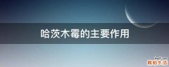 哈茨木霉的主要作用
