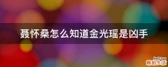 聂怀桑怎么知道金光瑶是凶手