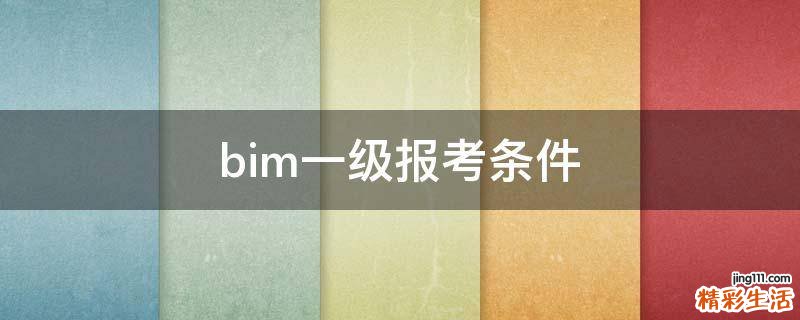 bim一级报考条件