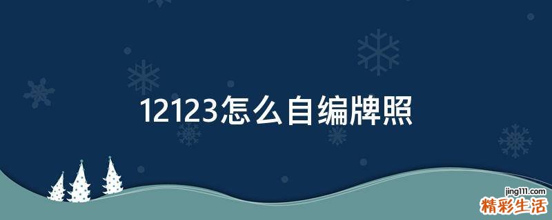 12123怎么自编牌照