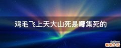 鸡毛飞上天大山死是哪集死的
