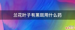 兰花叶子有黑斑用什么药