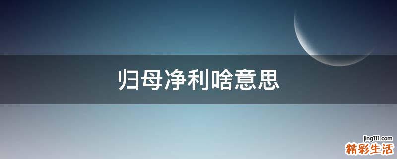 归母净利啥意思