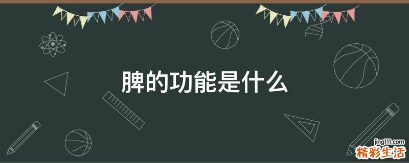 脾的功能是什么