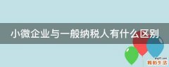小微企业与一般纳税人有什么区别