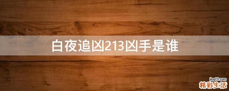 白夜追凶2.13凶手是谁