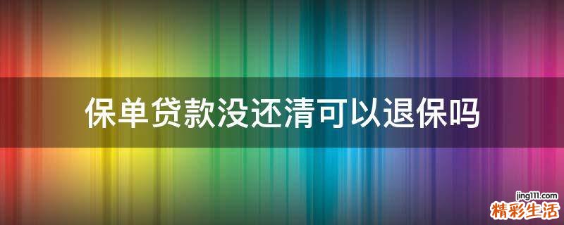 保单贷款没还清可以退保吗