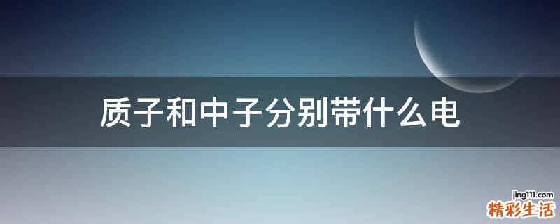 质子和中子分别带什么电