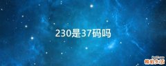 230是37码吗