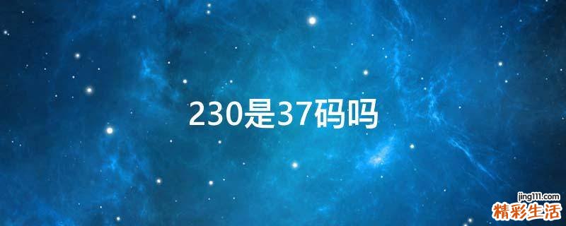 230是37码吗