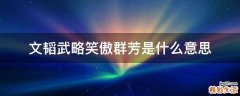 文韬武略笑傲群芳是什么意思