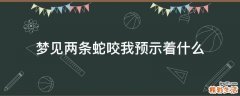 梦见两条蛇咬我预示着什么