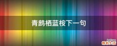 青鹧栖蓝桉下一句