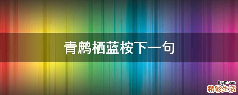 青鹧栖蓝桉下一句