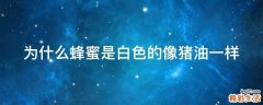 为什么蜂蜜是白色的像猪油一样