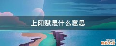 上阳赋是什么意思
