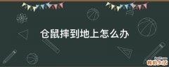 仓鼠摔到地上怎么办