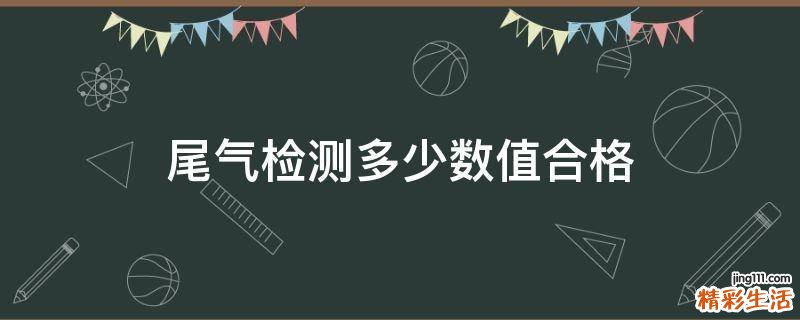 尾气检测多少数值合格